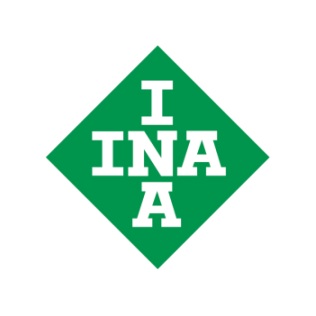 INA Bearings